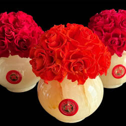 Three round rose arrangements in cream vases on a black background