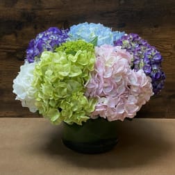 Colorful hydrangea arrangement in a dark vase