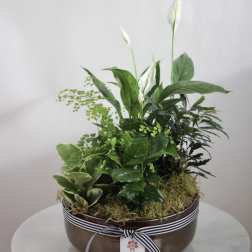 Potted green plant arrangement with white peace lilies in a brown bowl