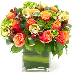 Orange roses and pale green orchids in a clear square vase