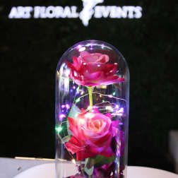 Two pink roses under a glass dome with string lights