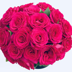 Bouquet of bright pink roses in a round arrangement