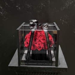 Red roses in a clear square box tied with a black ribbon