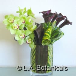 Arrangement of green orchids and dark calla lilies in a glass vase