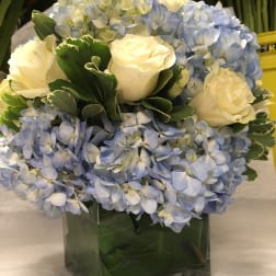Blue hydrangeas and white roses arranged in a square glass vase