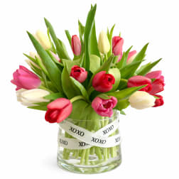 Bouquet of pink, red, and white tulips in a glass vase with XOXO ribbon