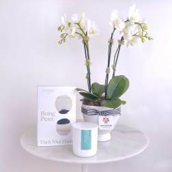 White orchids in a striped pot with a book and candle beside it