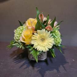 Yellow roses and a pale gerbera daisy in a square vase