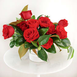 Red roses arranged in a white container with glossy leaves