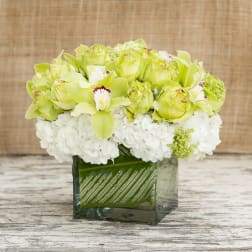 Green and white floral arrangement in a square glass vase