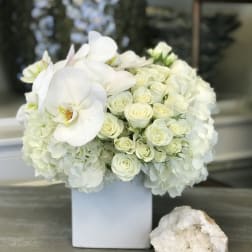White roses and orchids arranged in a square white vase