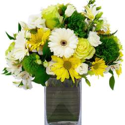Compact yellow and white daisy arrangement in a clear rectangular glass vase