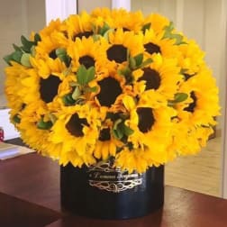 Large dome of sunflowers arranged in a black hatbox-style container