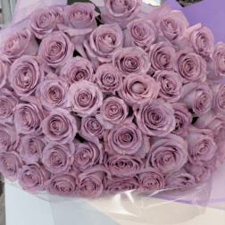 Bouquet of lavender roses wrapped in pale purple paper