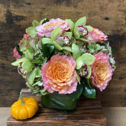 Pink and peach roses with green orchids in a dark vase beside a small pumpkin.
