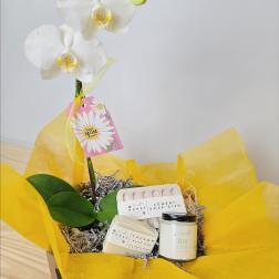 White orchid stem in a gift basket with soap and a candle