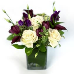 Bouquet of cream roses and deep purple flowers in a square glass vase