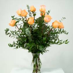 12 Peach Roses