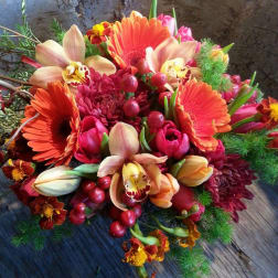 Bright mixed bouquet with orange gerbera daisies, orchids, and red blooms