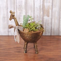 Succulent arrangement in a bronze animal-shaped planter with a ribbon bow