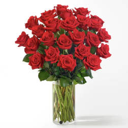 Two Dozen Long Stemmed Roses by BloomNation™