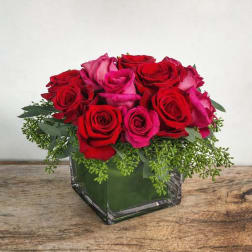 Short arrangement of red and hot pink roses in a clear glass cube vase