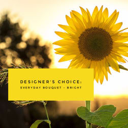Sunflower with a yellow text banner reading designer's choice