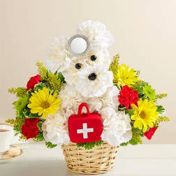 Doggie Howser M.D. #146761