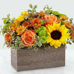 Box Fall Arrangement