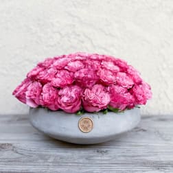 Pink roses arranged in a low gray bowl vase