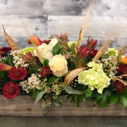 Autumn Grace