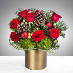 Rudolph’s Light By BloomNation™