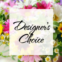 Mixed bouquet of pink, white, and yellow daisies