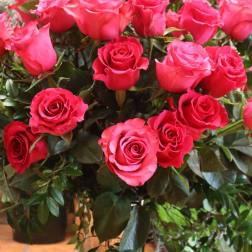 Pink roses arranged in a clear glass vase