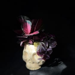 Purple foliage arrangement in a skull-shaped planter