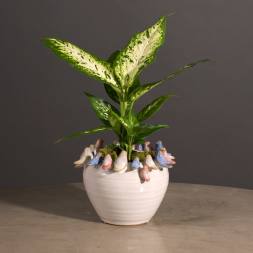Variegated green houseplant in a white ceramic pot with pastel decorative accents around the rim.