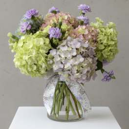 Sugarwashed Blooms