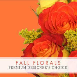 DESIGNERS CHOICE