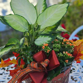 Fall Dish Garden