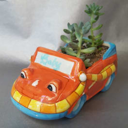 Succulent planted in a colorful car-shaped ceramic pot