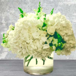 White hydrangea bouquet in a clear glass vase