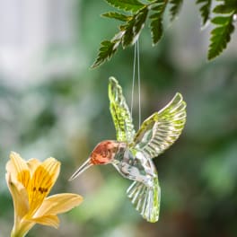 Glass hummingbird ornament hanging near a yellow flower