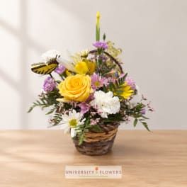 Yellow rose bouquet in a woven basket with daisies and butterflies