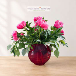 Pink peonies in a red glass vase on a wooden table