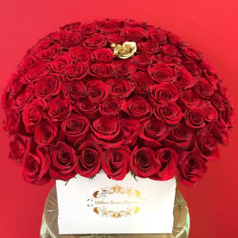 Large dome of red roses in a white box with one gold rose