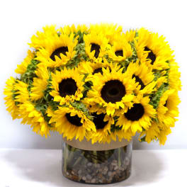 Sunny