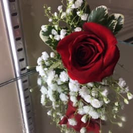 Single red rose with baby's breath and variegated leaves