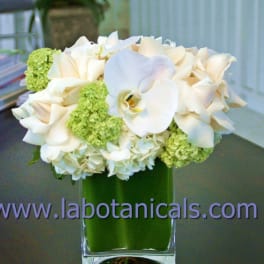 White orchids and green hydrangeas in a clear glass vase