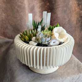 Succulent arrangement in a ribbed white planter with crystal accents
