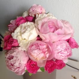 Pink and white peonies with hot pink roses in a round box